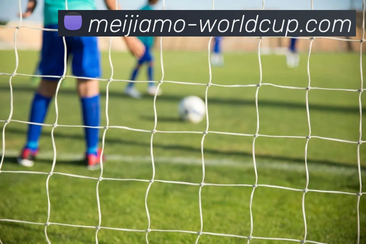 世界杯下注服务体系